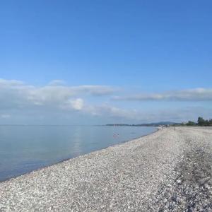 У Ларисы - 1
