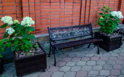 Дельфин - 4