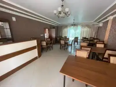 Стрижи - 4