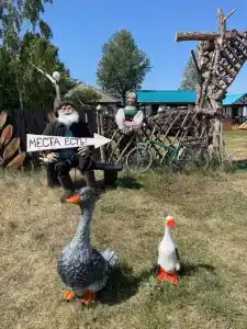 Гусли - 23