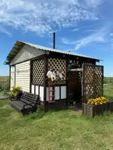 Гусли - 30