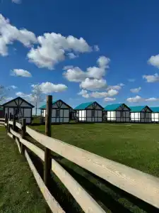 Гусли - 51