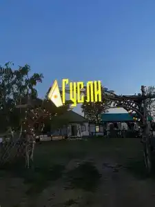 Гусли - 53