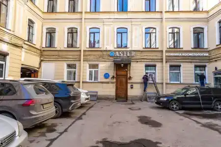 Невский Астер - 23