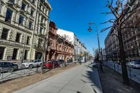 Невский Астер - 25