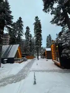 Место под соснами - 3