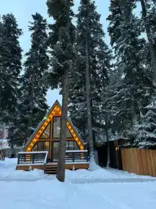 Место под соснами - 4