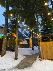 Место под соснами - 5