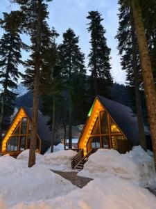 Место под соснами - 8