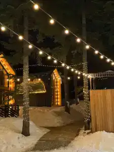 Место под соснами - 0