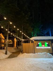 Место под соснами - 7