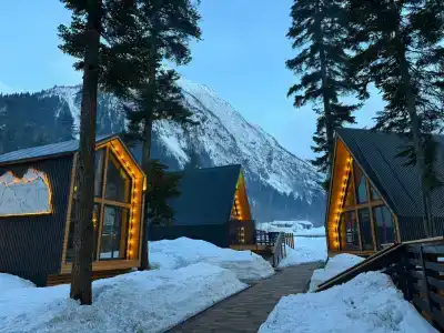 Место под соснами - 2