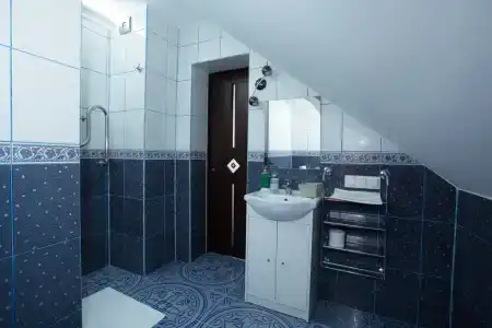 Серый Гусь - 30