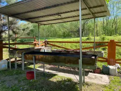 Светлячок - 5