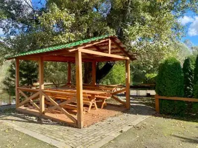 Светлячок - 6