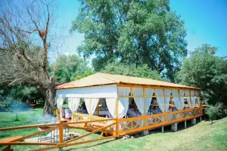 Светлячок - 19