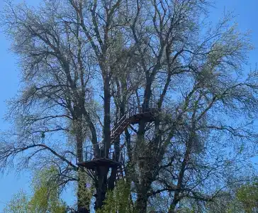 Светлячок - 28