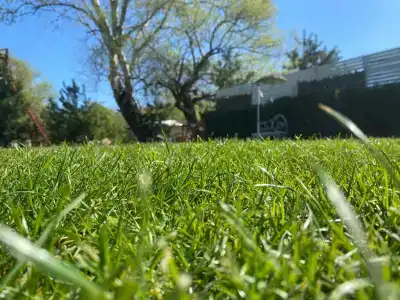 Светлячок - 31