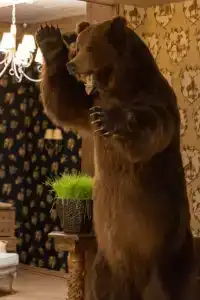 Охотничьи сезоны - 7