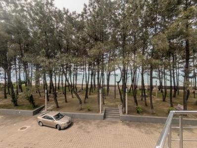 Панорама - 0