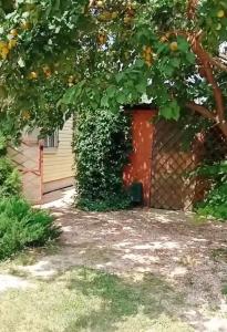 Славянский - 13