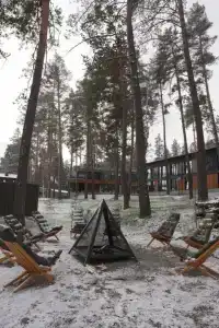 Хвоя в горах - 113
