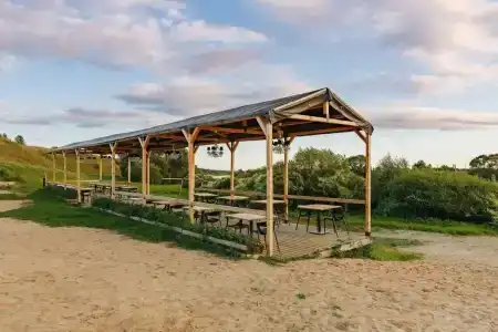 Поле - 19