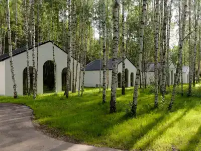 Поле - 3