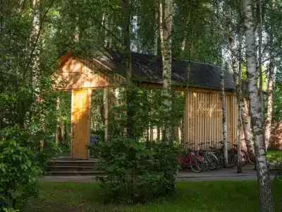 Поле - 4