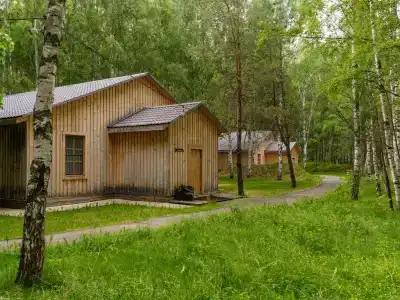 Поле - 17