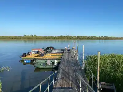 Белый Лев - 2