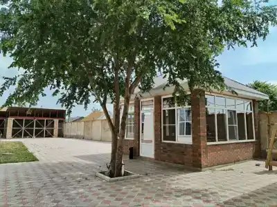 Белый Лев - 5