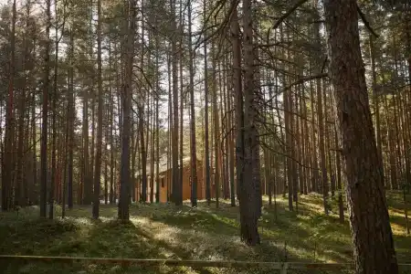 Коприно - 2