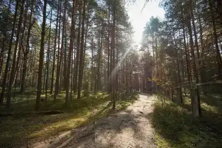 Коприно - 3
