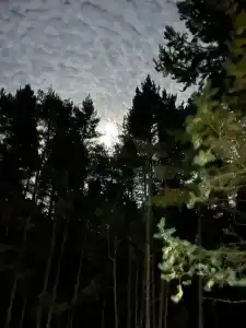 Коприно - 7