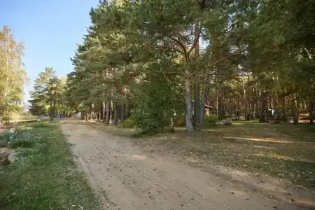 Коприно - 8
