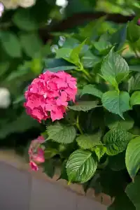 Морское Небо - 8