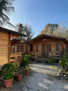 Gagra Style - 20