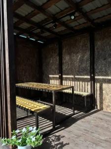 Holidays in Altay - 29