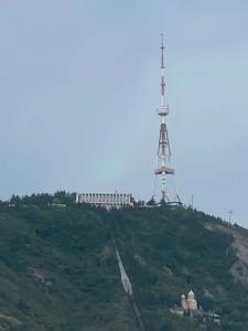 Mimino - 219