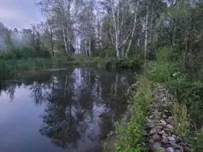 Белый камень - 131