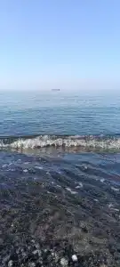 Мечты сбываются - 42