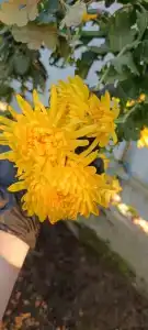 Мечты сбываются - 48