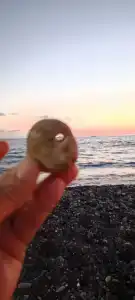Мечты сбываются - 58