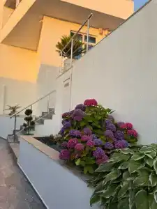 White House - 33