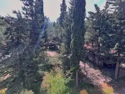 Затерянный мир - 26