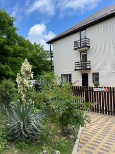 Южный берег - 26