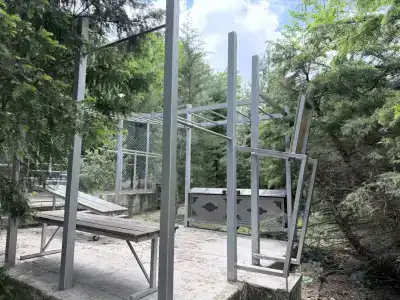 Вербена - 14