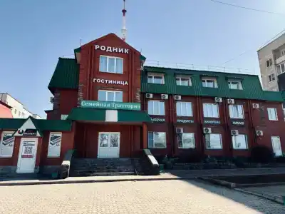 Родник - 1