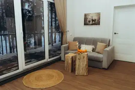Мох - 46